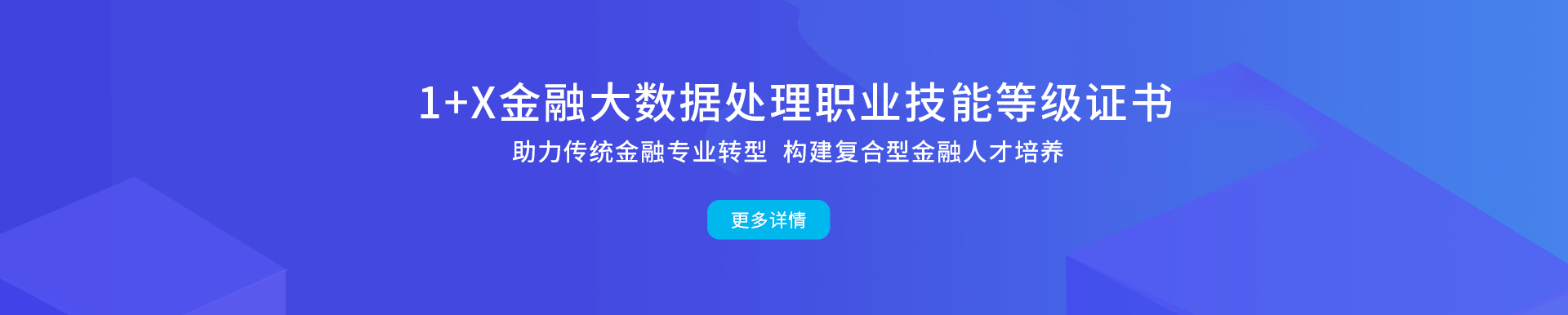 1+X職業技能等級證書